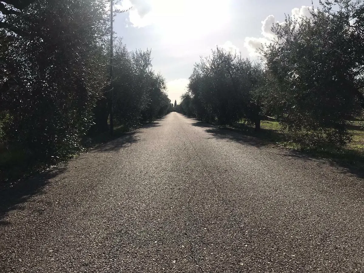 Countryhouse64 Hotel Braccagni 0*,  Italy